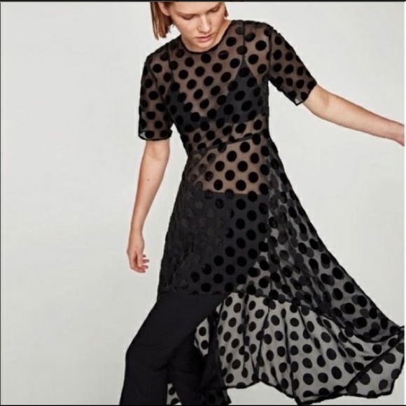 Zara Tops - Zara sheer Statement Top Velvet polka dot …